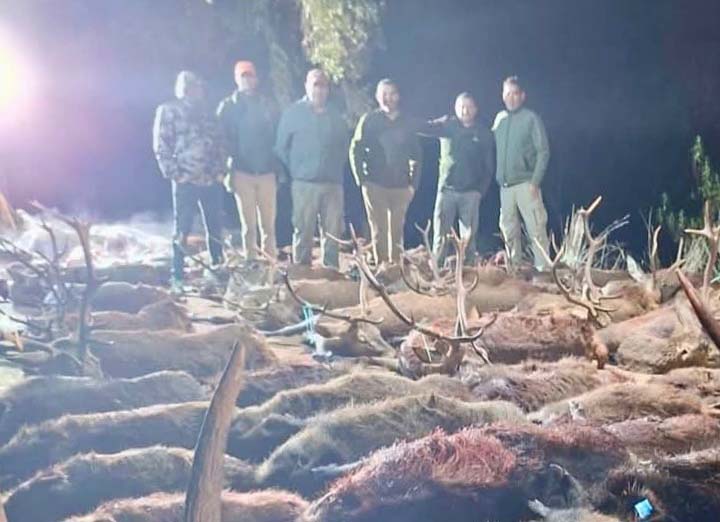 Resultado Montería El Berro 2025 Cinegética Cordobesa